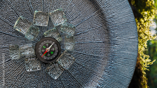 Compass points southwest, surrounded by ice cubes on a textured surface, symbolizing exploration and direction in a challenging environment