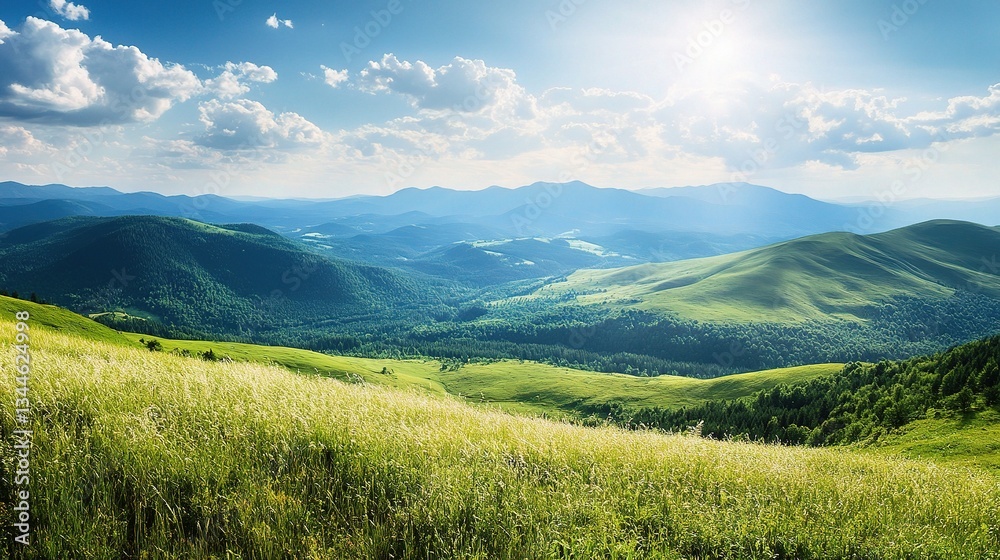 Obraz premium Serene Summer Landscape of Rolling Mountains and Lush Green Fields