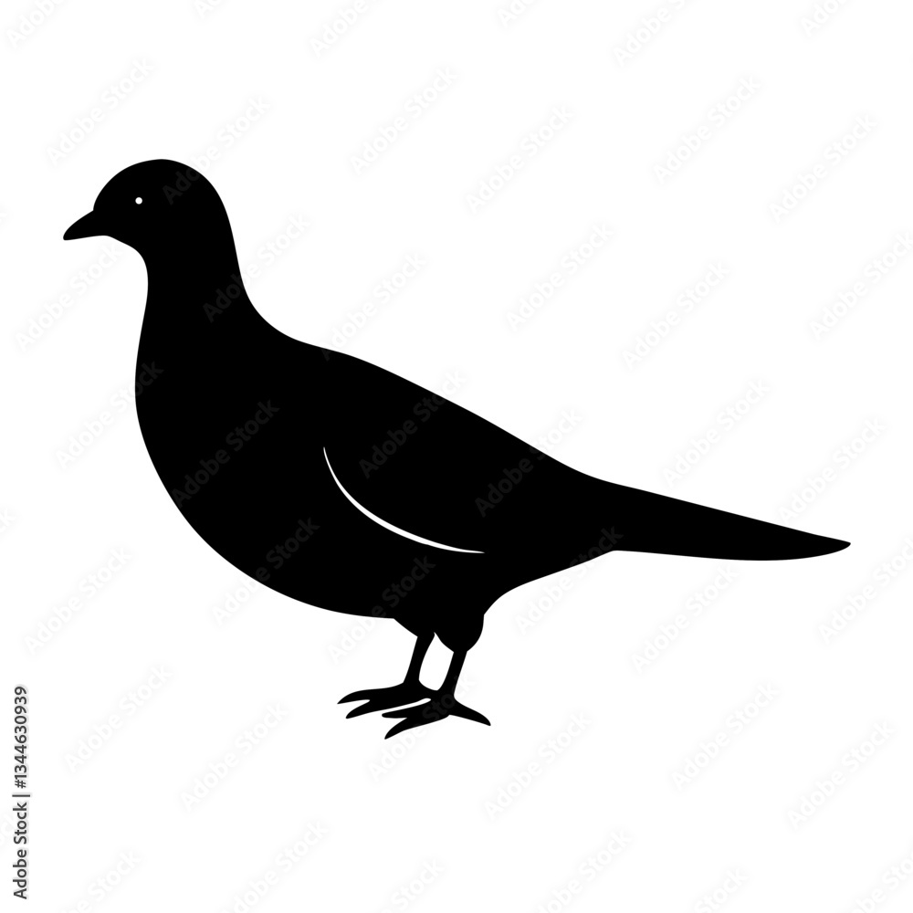 Obraz premium Silhouette of a pigeon on a white background, black and gray illustration of a bird with wings and beak