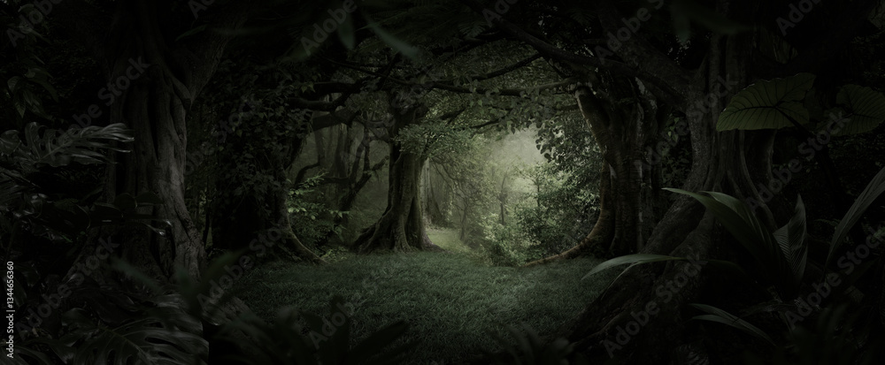 Sunlight streaming through the dense foliage of a tropical rainforest