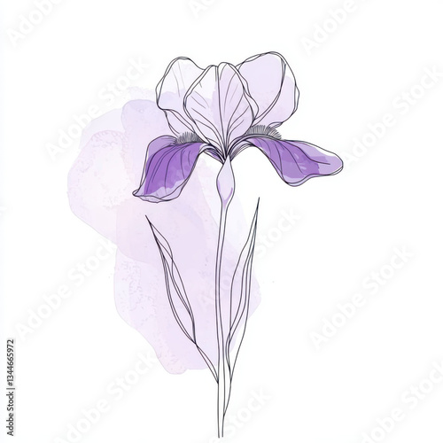 Single continuous line drawing of a iris flower with light purple watercolor accent. Minimalist style, elegant and clean composition.