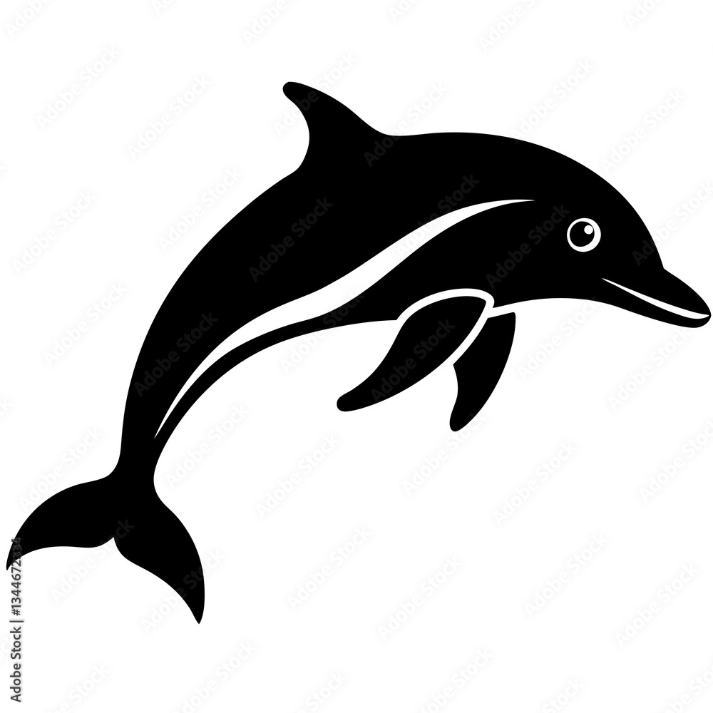 Obraz premium dolphin isolated on white background