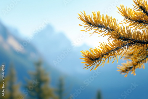 There is a picture of a mountain with a few trees in the foreground