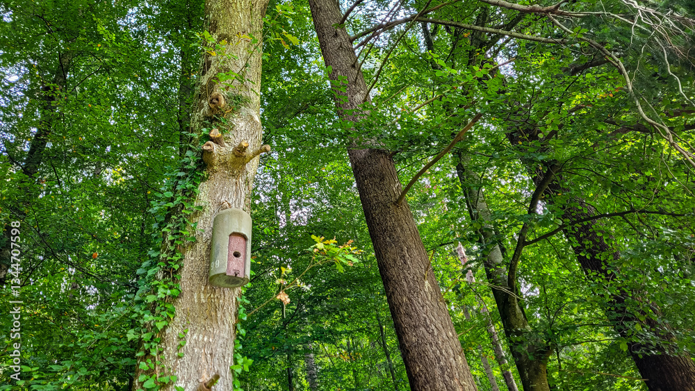 Fototapeta premium Concrete green-brown birdhouse on a tree in the green forest. The birds world.