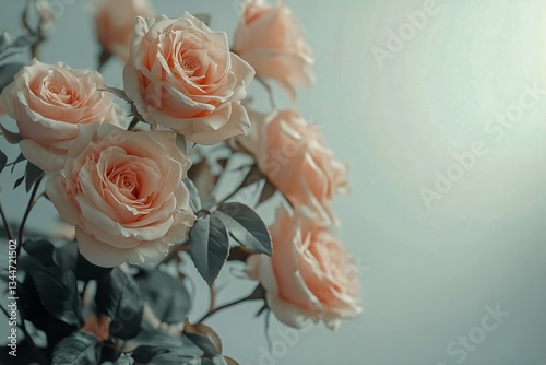 Beautiful White Roses With Orange Highlights Arranged Elegantly in Soft Light