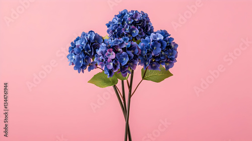 Three Hydrangea Bouquet On Pink Background
