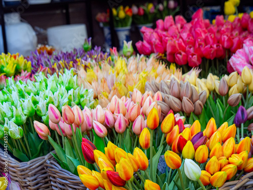 Colorful Tulips in Baskets at a Flower Market in Amsterdam. Spring floral arrangement at florist stall. Blooming season. Colorful tulip bouquets
