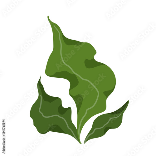 Green seaweed,colorful botanical elements for seasonal decor.Vector graphics.
