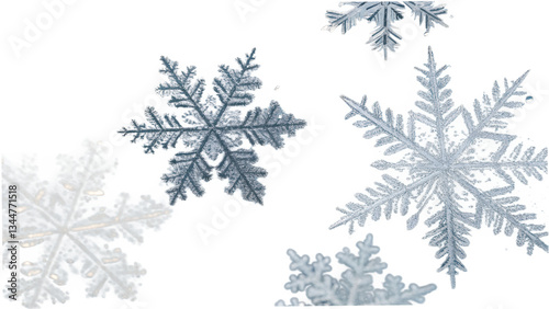 Intricate snowflakes falling on a winter's day, captured with a soft, blurred background.