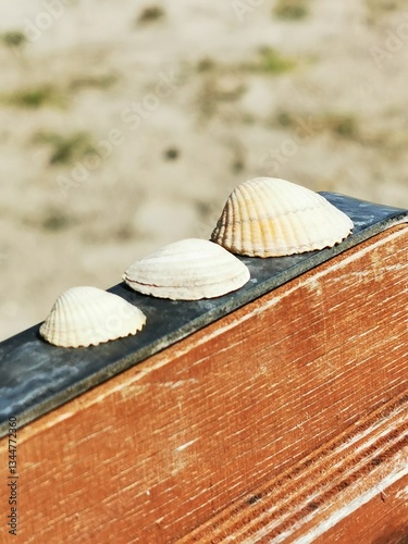 Feeling on Beach