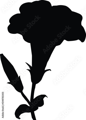 A Black color flower is very wonderful