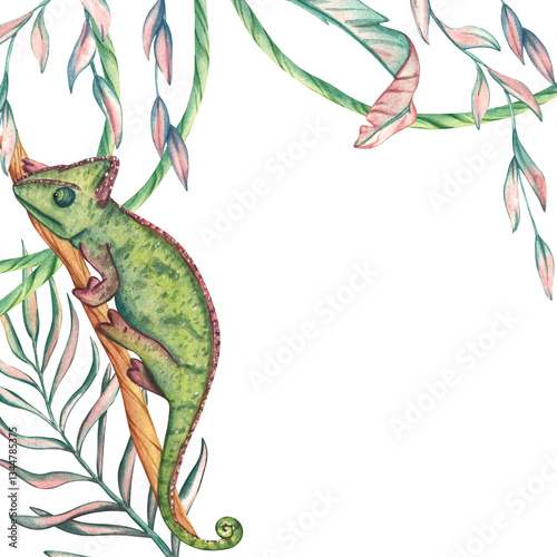 Watercolor illustration of green chameleon on a branch with space for text. Exotic African animal isolated on white background. Frame with space for text. Tropical template for design of cards
