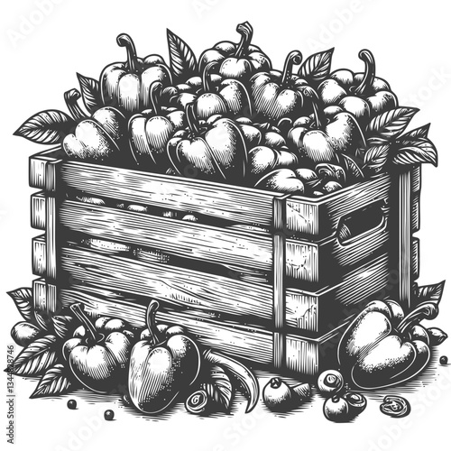 Detailed hand drawn crate brimming with fresh organic bell peppers