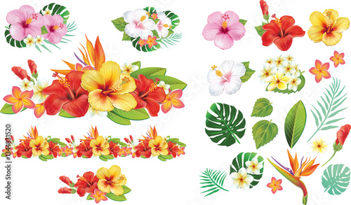 Tropical Hibiscus Flower Composition with Separate Elements for Designs and Custom Arrangements