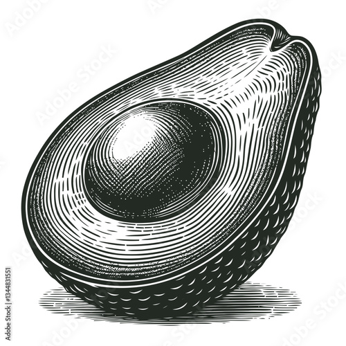 Vector engraving of a radiant glowing avocado seed illustration