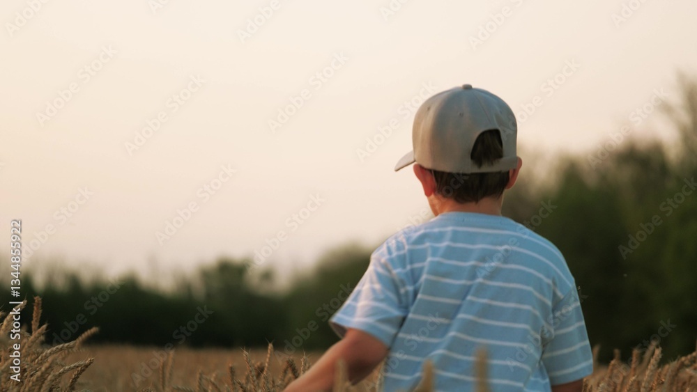 Cheerful child kid happily running through wheat field, turning around, looking at camera. Merry jolly boy child kid runs across meadow lawn field. Back view of cheerful boy child rushing across field Cheerful child kid happily running through wheat field, turning around, looking at camera. Merry jolly boy child kid runs across meadow lawn field. Back view of cheerful boy child rushing across field