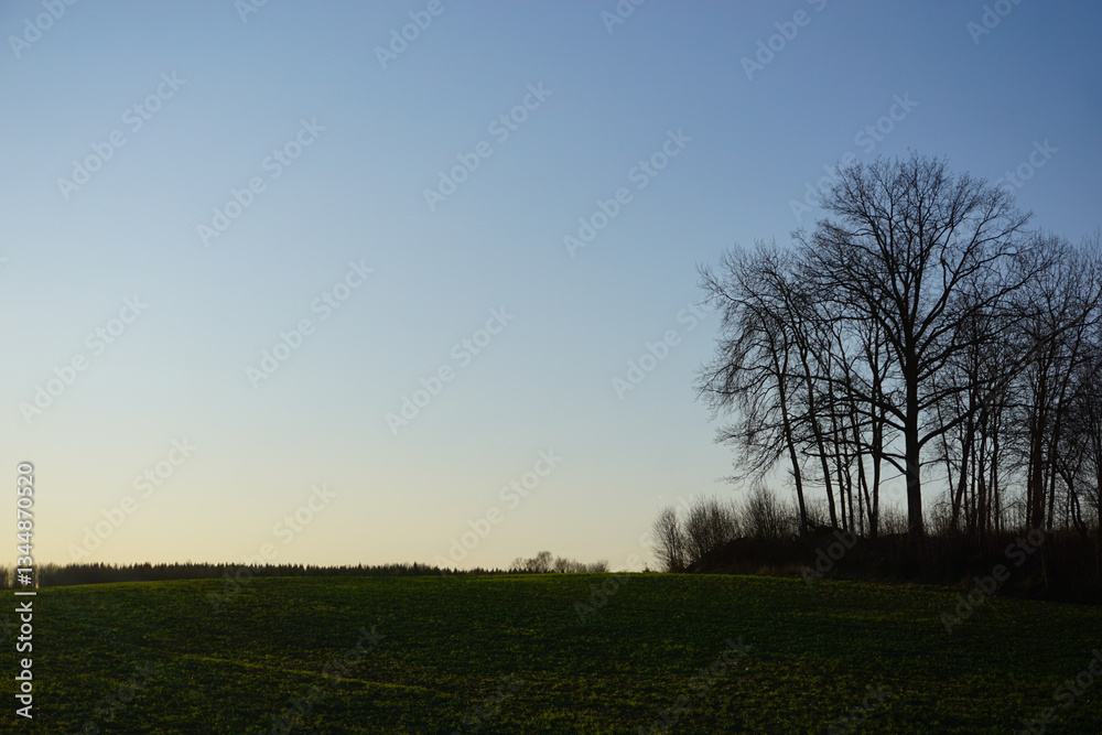 Obraz premium View of a field during evening