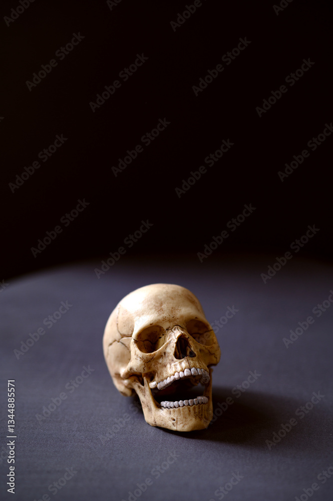 Obraz premium Artificial very realistic human skull on the table. Copy space. Dark background