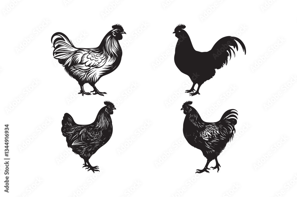 Fototapeta premium Black Silhouette Chicken Vector Rooster and Hen Clipart Farm Poultry Illustration