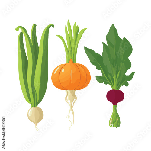 food, fresh, diet, organic, healthy, background, vegetable, green, garden, health, vegetarian, tomato, vegetables, farm, natural, nutrition, carrot, ingredient, agriculture, vegan, harvest, vitamin, f