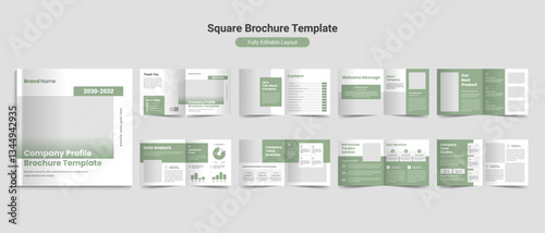 Business profile brochure layout template design	
