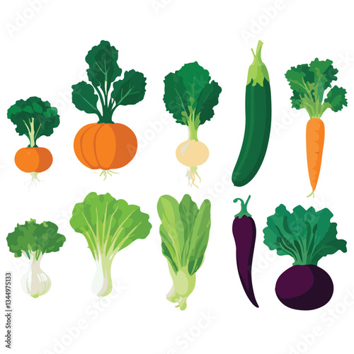 food, fresh, organic, diet, background, healthy, green, vegetables, vegetable, garden, ingredient, health, natural, agriculture, tomato, nutrition, vegetarian, carrot, fruit, vegan, farm, broccoli, vi