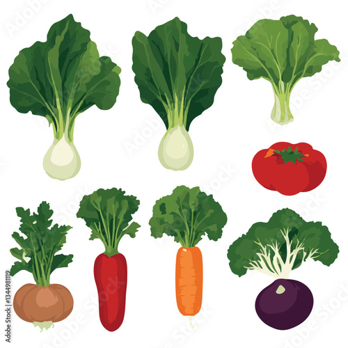 food, fresh, organic, diet, background, healthy, green, vegetables, vegetable, garden, ingredient, health, natural, agriculture, tomato, nutrition, vegetarian, carrot, fruit, vegan, farm, broccoli, vi
