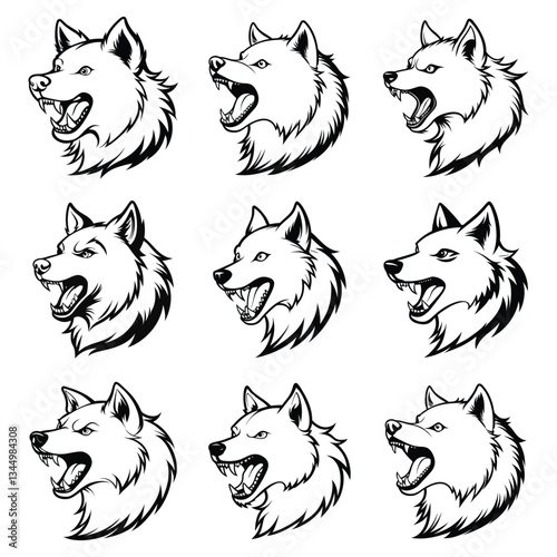 American Eskimo