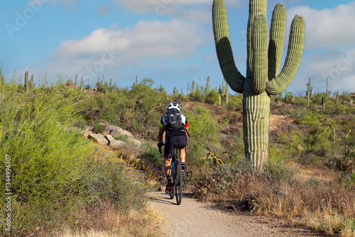 Man Riding A Mountain Bike On Desert Trail With Cactus In Arizona