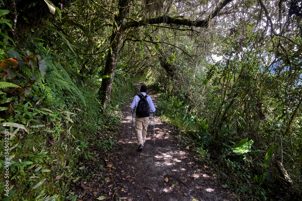 Obraz premium Chasing ancient footsteps on the legendary Inca Trail. Each step brings us closer to the lost city of Machu Picchu and deeper into the heart of history. Cusco Peru