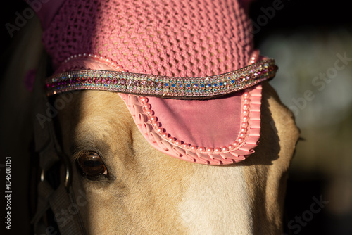 Fotografi Palomino horse with pink bonnet and rhinestone bridle band