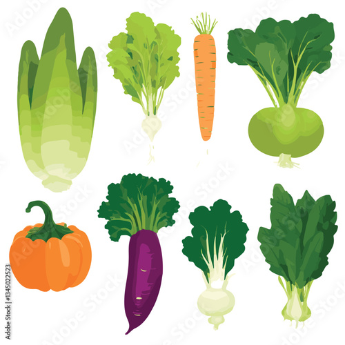 food, fresh, diet, organic, background, healthy, vegetable, green, ingredient, vegetables, vegetarian, natural, garden, tomato, vegan, nutrition, health, agriculture, carrot, fruit, farm, vitamin, bro