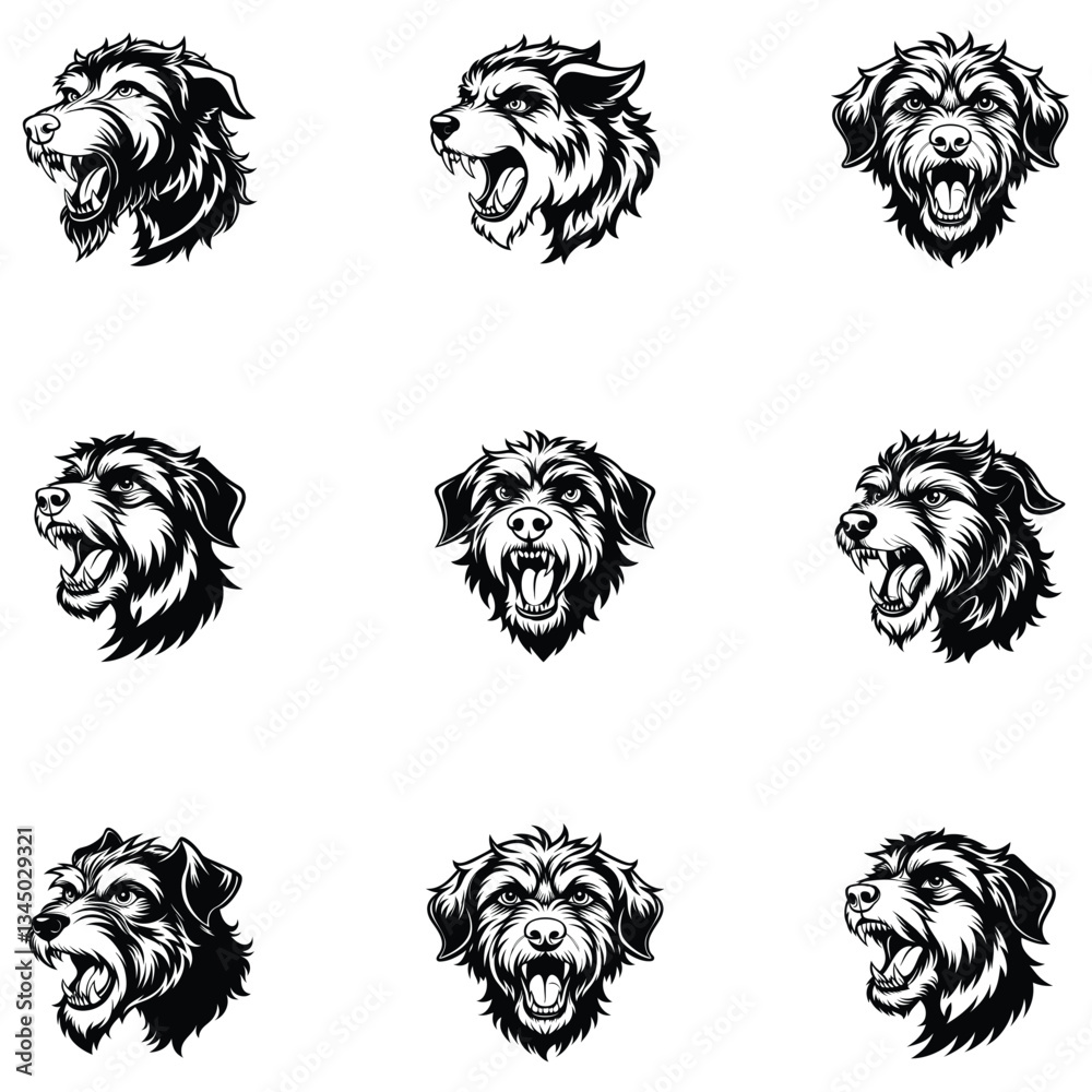 Obraz premium Black Russian Terrier