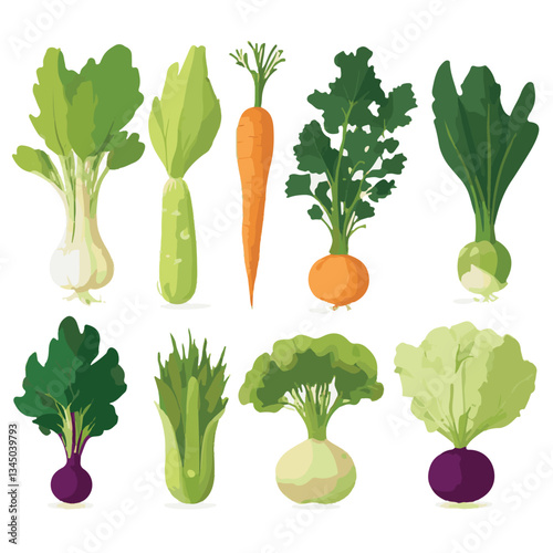 food, fresh, background, vegetable, organic, diet, vegetarian, healthy, vegan, vegetables, health, vitamin, green, ingredient, fruit, broccoli, tomato, natural, nutrition, farm, garden, collection, ag