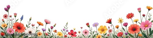 Delicate wildflower border with vibrant colors on white background, wildflowers, vibrant colors, delicate