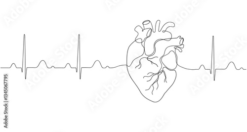 Human heart one line continuous drawing. Vector internal organ illustration
