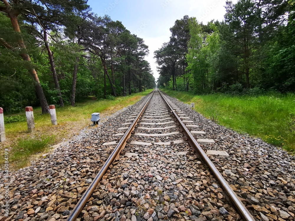 Fototapeta premium railway in the countryside