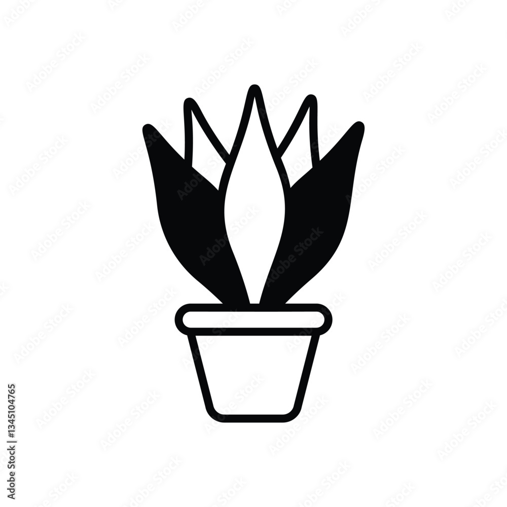 Weeping fig Vector icon Weeping fig Vector icon