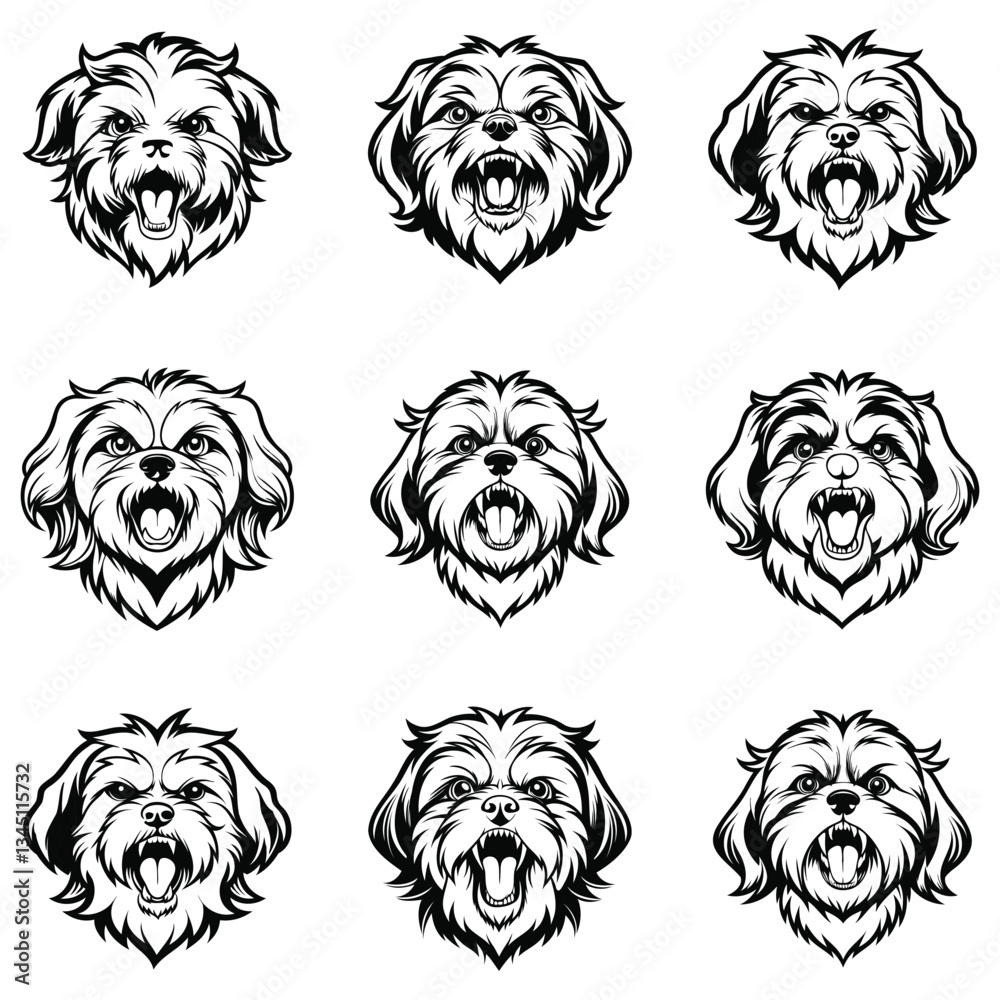 Shih Tzu Shih Tzu