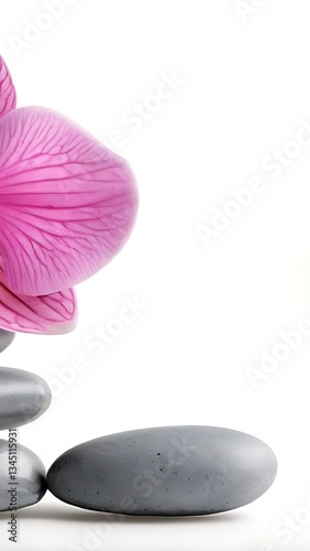 Zen Stones and Orchid: Serenity and Tranquility