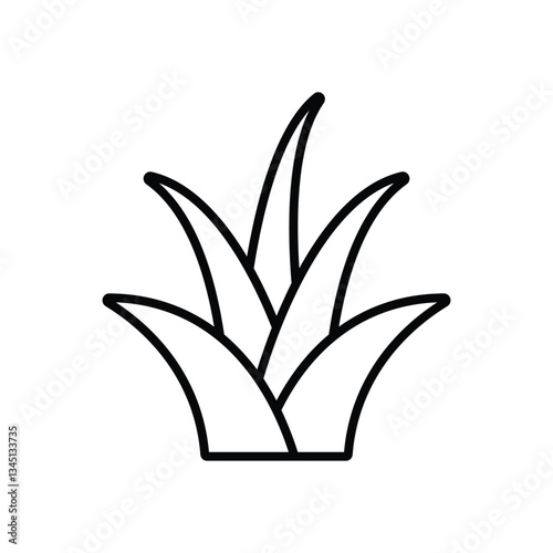 Yucca Vector icon