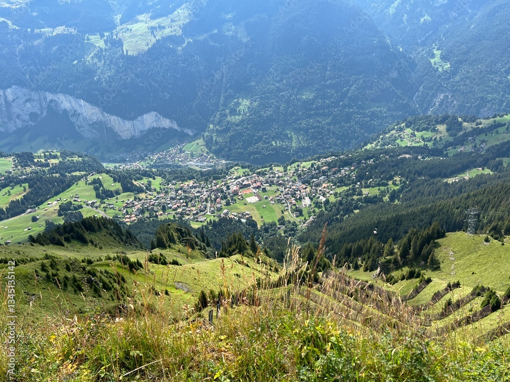 Fototapeta premium swiss town of grindelwald nestled in the mountains and green meadows