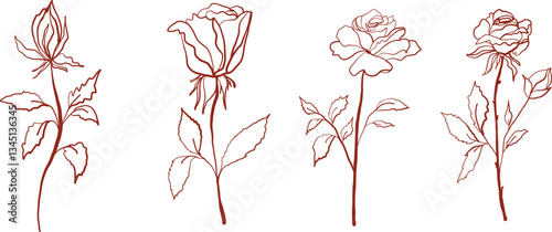 This vintage floral illustration set features handdrawn roses in a retro botanical style. The delicate line art with pastel hues and muted tones creates a nostalgic, aesthetic, and timeless look