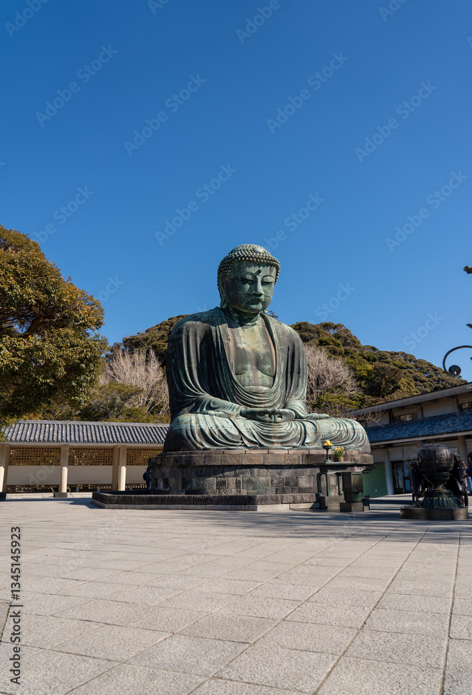 Naklejka premium 鎌倉大仏 高徳院