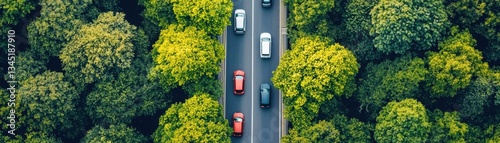 An aerial view of a road surrounded by lush green trees, featuring several vehicles of different colors traveling along the asphalt.