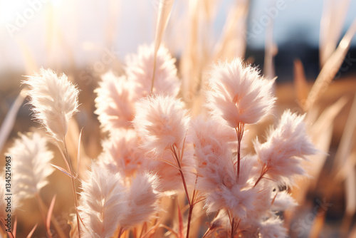 grass flowers' subtle colors and graceful forms are showcased in delicate and charming beauty of grassy landscape