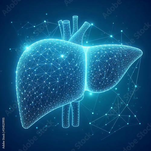 Human liver. Wireframe low poly style. Concept for medical, treatment of the hepatitis. Abstract modern 3d vector illustration on blue background.
