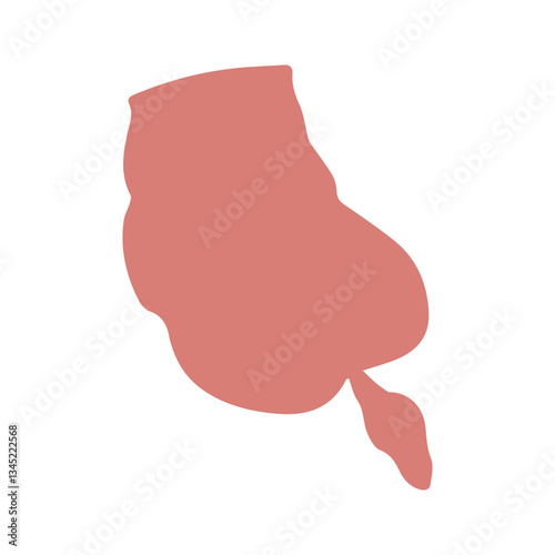 appendicitis colored icon