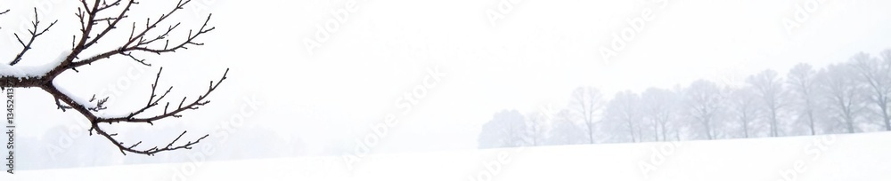 Fototapeta premium Isolated branches on a snowy white background, bare, barren, cold