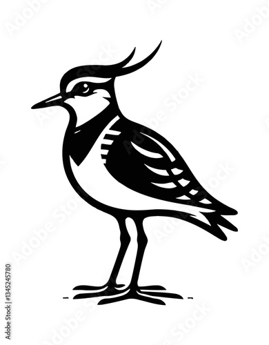 Northern Lapwing Standing Profile View with Detailed Black and White Silhouette Line Art Drawing